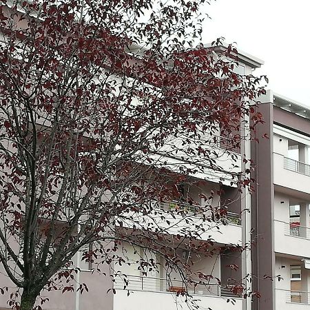 Aleanto Home Verona Esterno foto
